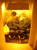 DSCN6055.webp