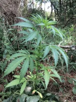 IMG_0631-min.webp