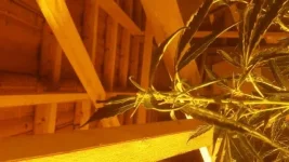 rps20170606_215104.webp rps20170606_215104.webp