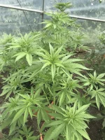 IMG_6067-ok.webp