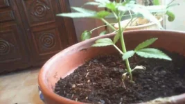 2017-06-22 21-19-16.874.webp