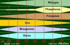 Le pH