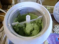 Crème Glacée Cannabique