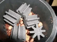 BIO Filtre fait maison