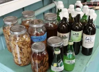 KNF - Korean Natural Farming