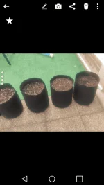 DIY confection express de pots géotextile (type smartpot)