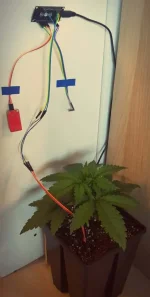 Tuto DiY - La box connectée - Système de monitoring à distance