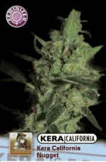 Kera California Nuggets
