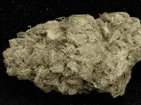 Purple Punch