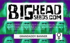 Grand Daddy Banner