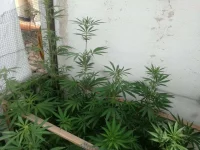 IMG_20210906_114001.webp