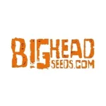 Big Head Seeds