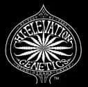 Hi elevation genetics