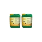 Bloom A&B Ferro