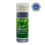 G.H Bloom