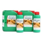 Coco Forte A+B