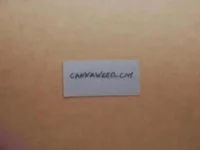 post-811638-0-61578200-1402960652_thumb.webp