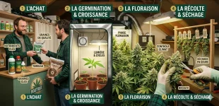La culture: de l'achat à la récolte...