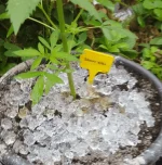 20170727_125009.webp