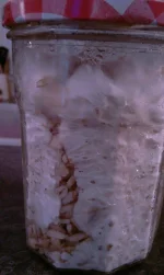 IMAG3095.webp