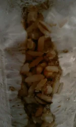 IMAG3096.webp