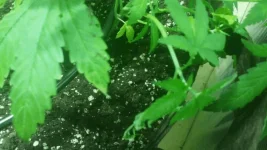 20171124_162003.webp