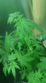 20171124_162012.webp