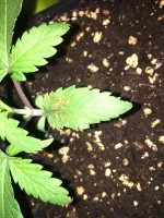 IMG_6843.webp IMG_6843.webp