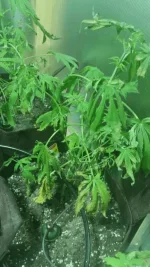 20171128_162948.webp