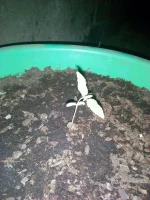 IMG_20171230_194621.webp