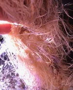IMG_0999.webp IMG_0999.webp