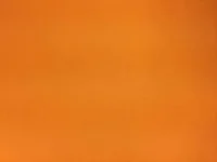 IMG_4713.webp IMG_4713.webp