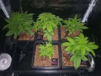 IMG_20180123_145715.webp