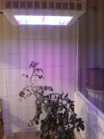 20180217_150138.webp 20180217_150138.webp