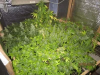 IMG_2474.webp IMG_2474.webp
