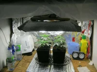 IMG_0049.webp IMG_0049.webp