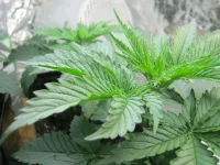IMG_0054.webp IMG_0054.webp