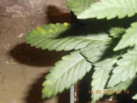 DSCN0282_01.webp