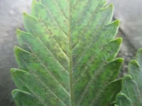 IMG_1480.webp IMG_1480.webp