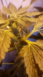 IMG_20180305_120835.webp IMG_20180305_120835.webp