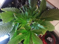 IMG_20180509_190522.webp