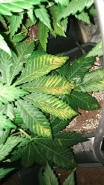 IMG_20180409_122014.webp IMG_20180409_122014.webp