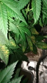 IMG_20180409_122010.webp IMG_20180409_122010.webp