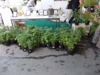 DSCN2731.webp