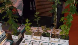 DSCN2753.webp