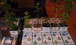 DSCN2754.webp