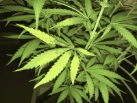 86vagegz.webp