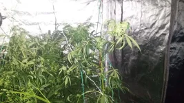 20180312_200753.webp