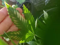 20180516_182303.webp