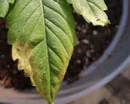 20180516_184631.webp